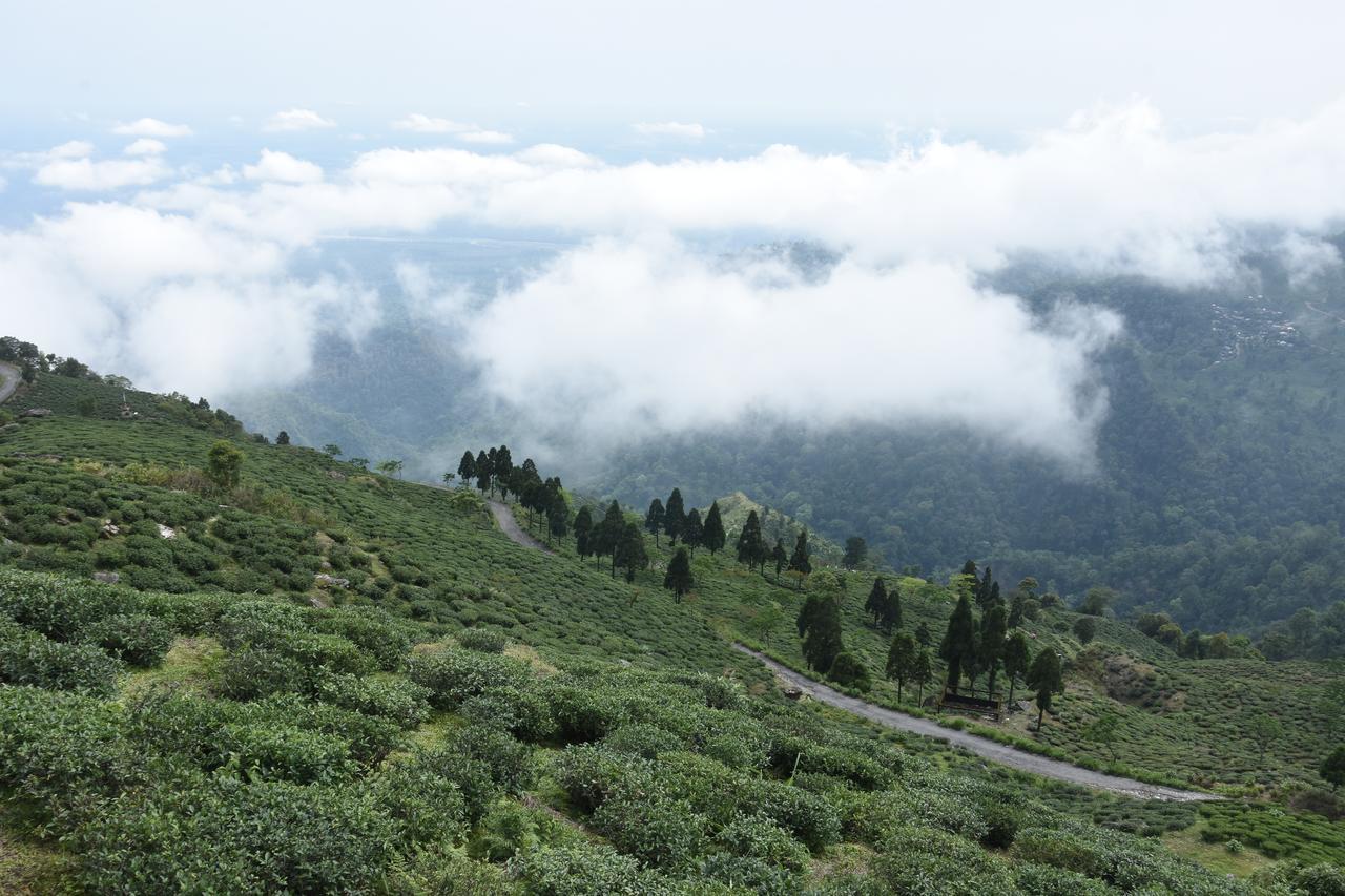 Nirvana Retreat Kurseong Exteriör bild